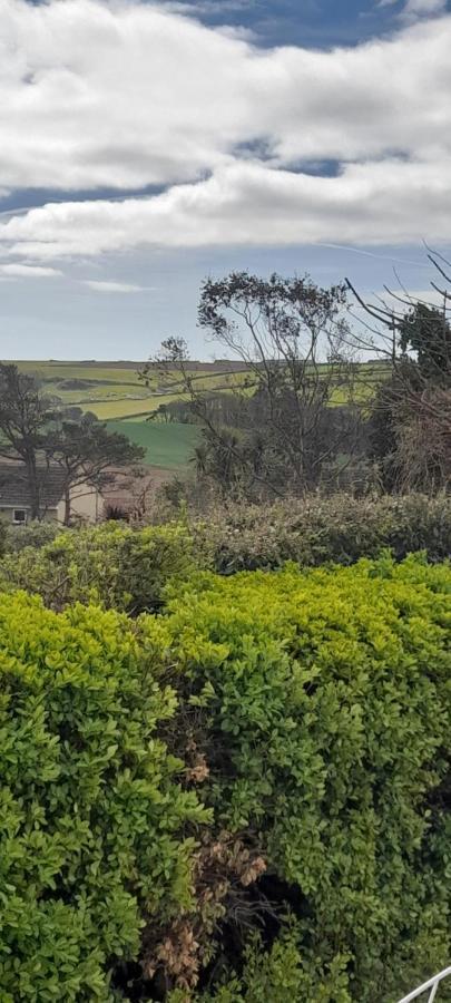Little Orchard House Bed & Breakfast Salcombe Exterior photo
